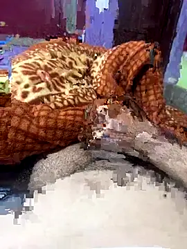 Rupkumarmaleforfun online show from 12/18/25, 02:34