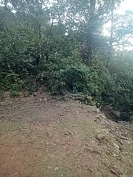 quynhkoolbae online show from 02/21/26, 12:44