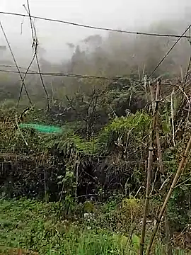 quynhkoolbae online show from 03/11/26, 03:12