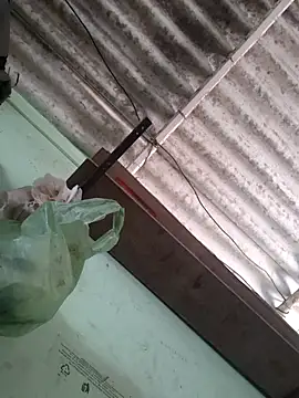 akshant1234 online show from 11/17/25, 04:51