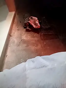 Snapshot of fanchunn chatting on 02/09/26, 09:57 fanchunn online show from 02/09/26, 09:57