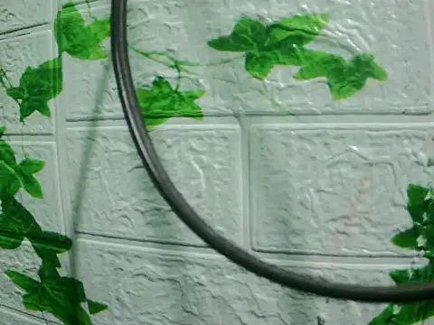 Snapshot of daros453 chatting on 11/03/25, 02:13 daros453 online show from 11/03/25, 02:13