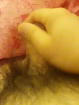 Hl1979 online show from 02/27/26, 09:04