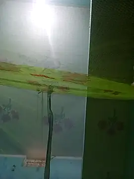 Apkisona8 online show from 11/21/25, 05:28