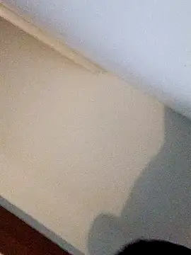 Snapshot of Andrez5041 chatting on 10/14/25, 04:02 Andrez5041 online show from 10/14/25, 04:02