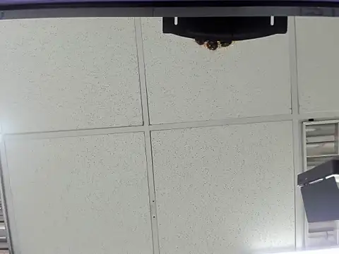 Aisha hotts777 online show from 03/20/26, 02:49