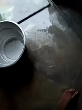 dolphiinn online show from 11/28/25, 01:08