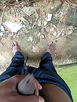 dolphiinn online show from 12/18/25, 04:18