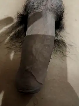 Snapshot of official_plsr5 chatting on 11/06/25, 11:44 official plsr5 online show from 11/06/25, 11:44