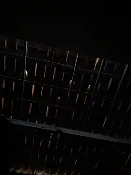 spiderfindom online show from 06/25/26, 07:18