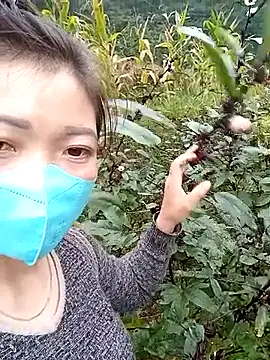 qychiu online show from 11/13/25, 01:48