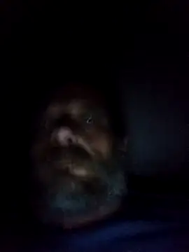 Snapshot of Potch8duim chatting on 10/06/25, 07:55 Potch8duim online show from 10/06/25, 07:55