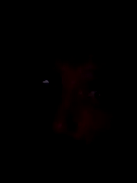 Snapshot of Potch8duim chatting on 11/02/25, 07:49 Potch8duim online show from 11/02/25, 07:49