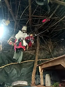 cute diya 12 online show from 11/05/25, 02:22