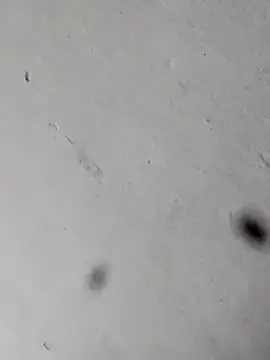 Mollysdick online show from 04/17/26, 11:24