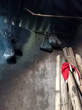  Helala  online show from 02/26/26, 08:35