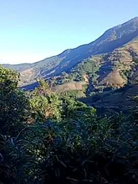 Snapshot of misa_00 chatting on 11/29/25, 01:08 misa 00 online show from 11/29/25, 01:08