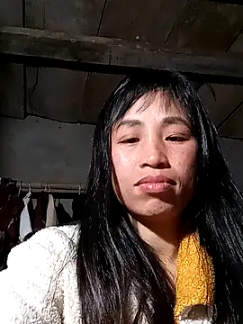 misa 00 online show from 02/04/26, 02:45