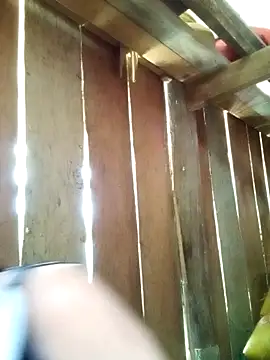 misa 00 online show from 04/06/26, 04:46