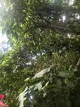 dulcelatin21 online show from 11/25/25, 07:58