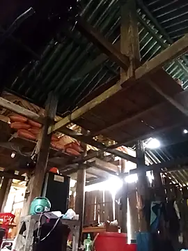 Ngocmi909 online show from 03/11/26, 06:30