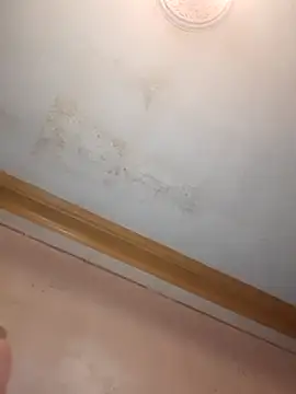 Klubnyhka3991 online show from 12/16/25, 09:31