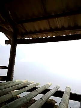 Maymay0033 online show from 04/03/26, 03:37