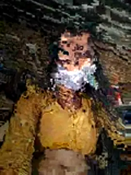 Snapshot of Sapna_thakurr chatting on 11/17/25, 05:57 Sapna thakurr online show from 11/17/25, 05:57