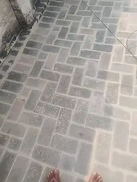 PunjabiSardarBull online show from 11/20/25, 04:34