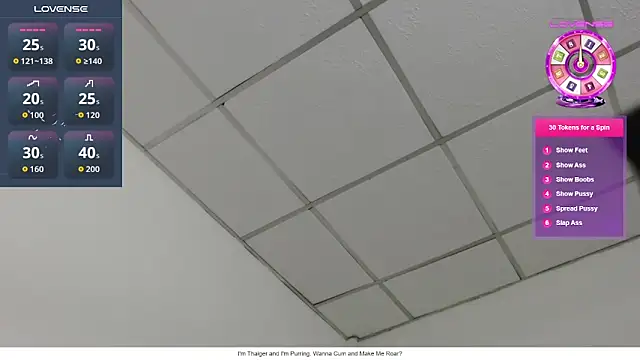 Busty-Thaiger online show from 06/01/26, 06:53