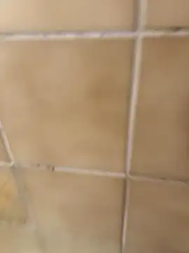 escobryuf online show from 01/09/26, 12:30