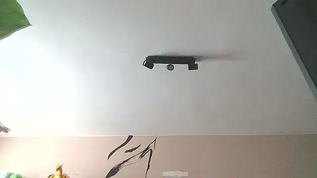   Leyla   online show from 01/12/26, 12:21