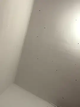 Snapshot of davidxxx099 chatting on 11/22/25, 10:31 davidxxx099 online show from 11/22/25, 10:31