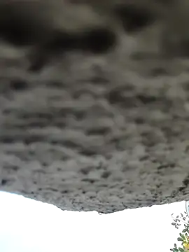 AnanyaKapoor89 online show from 11/09/25, 02:43