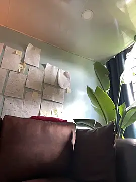 Canneela online show from 03/11/26, 06:47