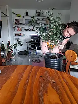 AmnesiaKushxSkywalkerOg online show from 01/07/26, 03:58