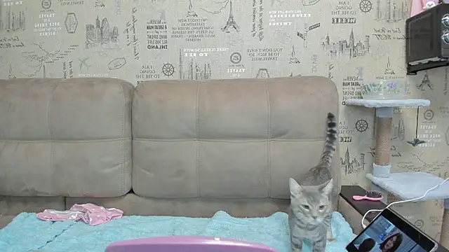 Snapshot of Kelly_Gerzikaa chatting on 11/29/25, 01:41 Kelly Gerzikaa online show from 11/29/25, 01:41