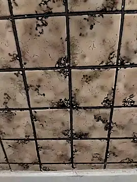 Snapshot of rosembertg chatting on 10/02/25, 01:07 rosembertg online show from 10/02/25, 01:07