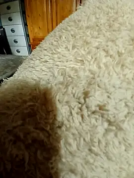 Ahalm online show from 11/16/25, 02:33