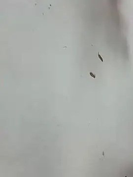 Snapshot of Baby-mmm chatting on 01/10/26, 05:20 Baby-mmm online show from 01/10/26, 05:20