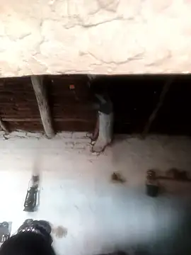 Sheema tyagi online show from 10/21/25, 07:31