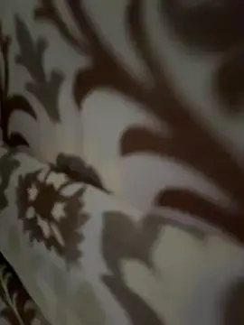 tran my online show from 11/12/25, 05:08