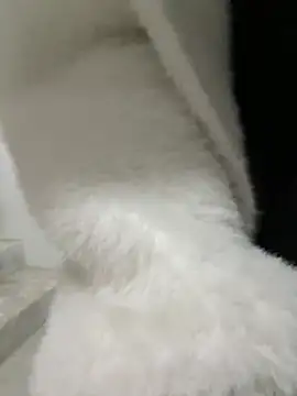 Cumonmme online show from 01/18/26, 08:23