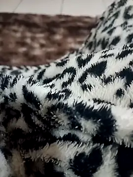 Gauderio40 online show from 11/21/25, 04:11