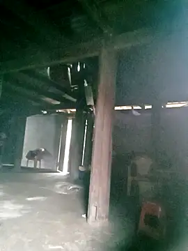 Snapshot of ngan-cute chatting on 10/16/25, 01:17 ngan-cute online show from 10/16/25, 01:17