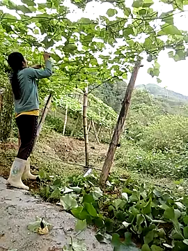 ngan-cute online show from 05/13/26, 01:03