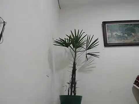 Snapshot of Young_handsome chatting on 09/11/25, 01:28 Young handsome online show from 09/11/25, 01:28