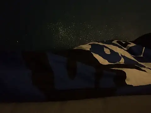 Snapshot of GeilerHSVFAN1989 chatting on 09/14/25, 04:11 GeilerHSVFAN1989 online show from 09/14/25, 04:11