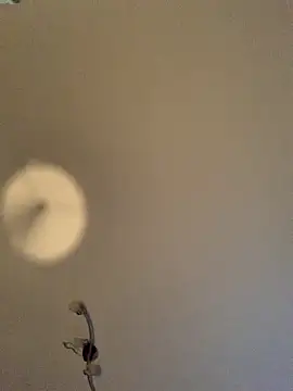 Snapshot of GeilerHSVFAN1989 chatting on 11/11/25, 04:12 GeilerHSVFAN1989 online show from 11/11/25, 04:12