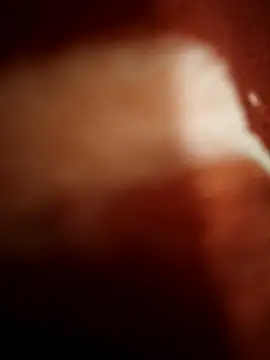 Snapshot of sexy__girls98 chatting on 11/08/25, 11:47 sexy girls98 online show from 11/08/25, 11:47